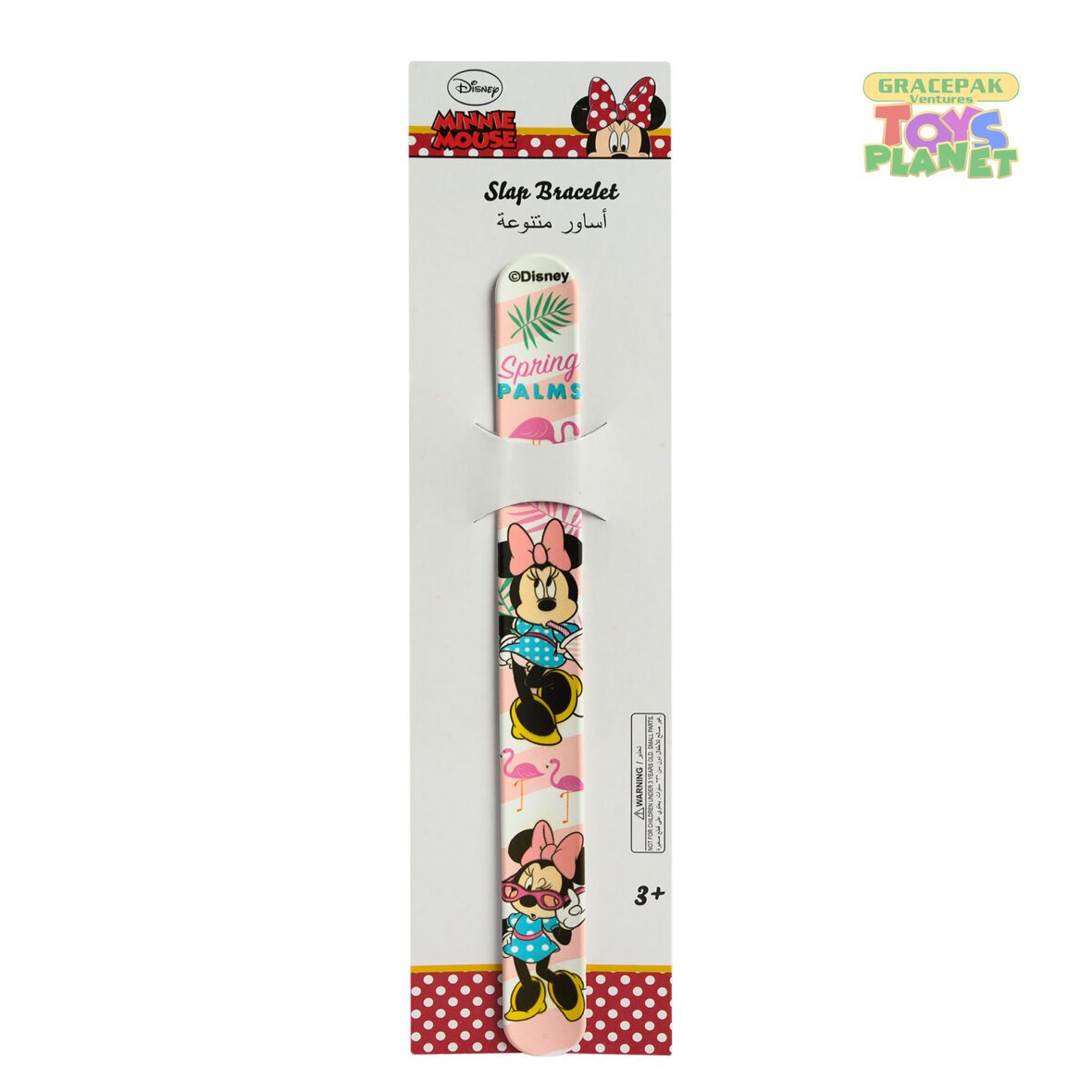 Minnie Slap Band